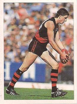 1992 Select AFL Stickers #82 Michael Werner Front